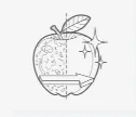 Pulidoras, Abrasivos, Peladoras Y Limpieza De Verduras — ilustración de la categoría de aplicación UNI-MASZ