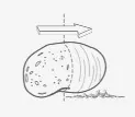 Tamizado / Pulpeado — ilustración de la categoría de aplicación UNI-MASZ